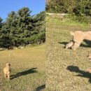 몽롱한 노을 펜션 이미지