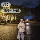 몽화 | 경주 대릉원 미디어아트 몽화 축제 후기 입장료 상영 시간 경상도 가을 여행지 추천