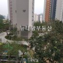 자이태양부동산공인중개사사무소 이미지