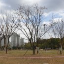 호수공원 추가 이미지