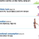 시보 컴퍼니