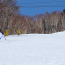 센트럴메드 이미지