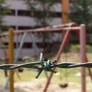 도시의숲 이미지