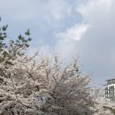골든구스코리아 유한회사 | #월간기록_2604(부제. 소비의 달)