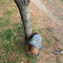 중화요리 마루 이미지