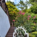 하얀둥지펜션 이미지