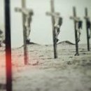 이슬람의 눈으로 본 세계사 이미지