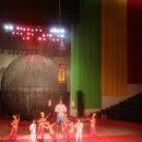 매직월드 이미지