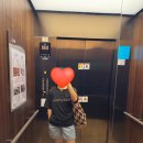 파인글로브 | 여름 휴가 필수템 후기 / 블랙 모자, 캐플린 티셔츠, 배기즈, 힙색 바캉스 코디 (파타고니아 24SS 여름...
