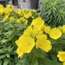 황금시장식육점 이미지