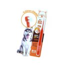 오렌지덴탈 이미지