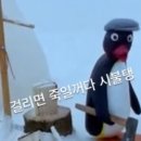 핑구맘