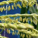 해뜬농장 이미지