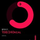 하루운동 이미지