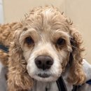 두암한방병원 이미지