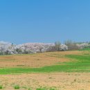 농협 한우개량사업소 가축병원 이미지