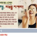 피부미인스킨케어 이미지