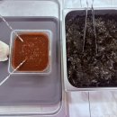 스타디움앤쿡 이미지