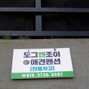 도그 앤 조이 이미지