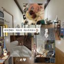 제주 담빈하우스 | JEJU 제주(14) 제주 혼자여행, 종달리 게스트하우스 &#34;비어앤베드 하도야&#34; 이용 후기 🍊