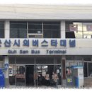 배둔시외버스터미널(교통섬) | 진도터미널 시간표, 예매 및 이용안내