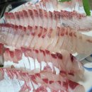 헬로민박 이미지