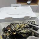 60계치킨경기연천전곡점 | [경기 연천/전곡] ‘치킨플러스 연천전곡점’ 고르곤졸라맛있닭