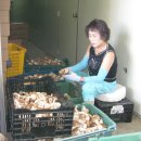 여수농장 이미지