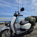 한림좀녀삼춘 이미지