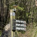 천주산 등산 도로변 이미지