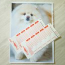 놀아보개 | 강아지 놀이 추천 댕댕이와 로또 번호 뽑기