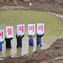 백봉교