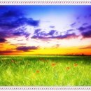 시의국도 이미지