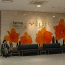 (주)대구백화점대백프라자
