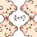 호텔보브 이미지