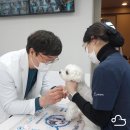 동물병원 WITH-PET 이미지