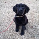 이뻐지는산책 이미지