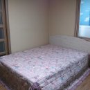 신구초등학교 이미지