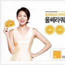 빛트루 이미지