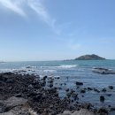 돌담당구장 이미지