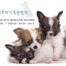 반포자이동물병원 이미지