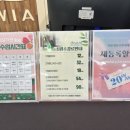 다옴요가&플라잉 | [대전/중구] 대흥동요가 다옴월요가앤월레 - 20년 경력 선생님의 월요가 강의