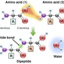 생명(조각) 이미지