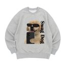 간지나개 이미지