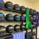 크로스핏 코알라 이미지