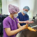 힘찬병원 이미지