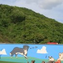 대쌍령길 5 이미지