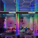 플레이샵 인형뽑기 이미지