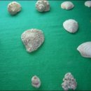 성산패총 이미지