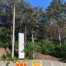 대성산업 | 강원도 동해 힐링하기 좋은 캠핑장 동해글램핑